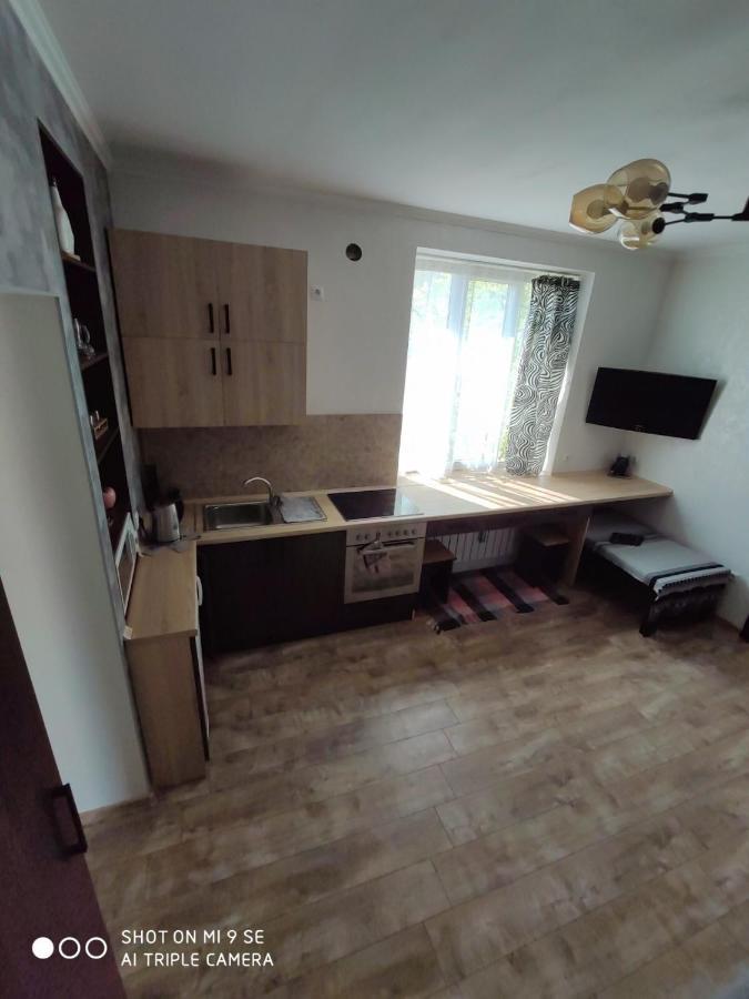 Однокімнатна Квартира-Студія Біля Парку Шевченка Ivano-Frankivsk Buitenkant foto